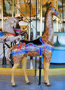 Outside Row Herschell-Spillman Standing Giraffe