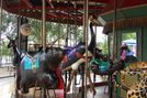 Carousel Works Black Bear, Stork, and Sea Otter