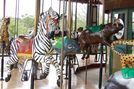 Carousel Works Zebra, Dugong, and Barbirusa