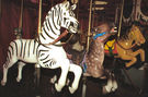 (L-R) Herschell-Spillman Zebra and Two Allan Herschell Jumpers