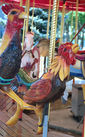 (L-R) Herschell-Spillman and Allan Herschell roosters