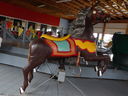 Armitage-Herschell Horse
