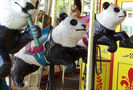 Carousel Works Pandas