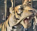 Dentzel Outside Row Tiger - Close-up