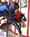 Carousel Works Chimpanzee and Ladybug