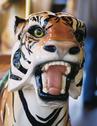 Dentzel Tiger Outside Row Stander Head Close-up