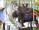 Carousel Works White Tiger and Rhino