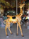 Looff Giraffe Outside Row Stander