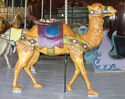 Looff Camel Outside Row Stander