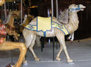 Looff Camel Stander