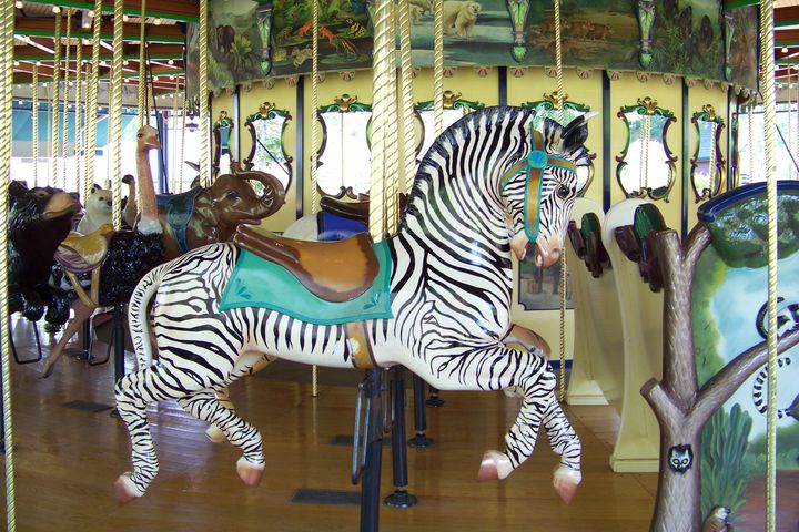 National Carousel Association - St. Louis Zoo Carousel - Grevy&#39;s Zebra