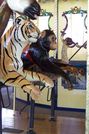 (L-R) Siberian Tiger, Chimpanzee, and Nene Goose