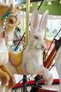 Carousel Works Rabbit Jumper