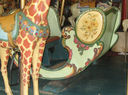 Herschell-Spillman Giraffe and Chariot