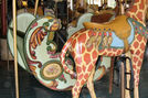 Herschell-Spillman Giraffe and Chariot