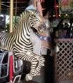 Herschell-Spillman 2nd Row Jumping Zebra