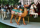 U. S. Merry-Go-Round Co. Camel and Horse