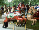 U. S. Merry-Go-Round Co. Horses