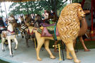 U. S. Merry-Go-Round Co. Lion