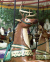U. S. Merry-Go-Round Co. Outside Row Deer Close-Up