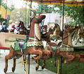 U. S. Merry-Go-Round Co. Outside and 2nd Row Deer