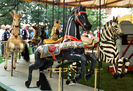 U. S. Merry-Go-Round Co. Outside Row Horse and 2nd Row Zebra